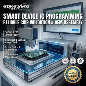 Placa PCBA de Validación de Programación de IC de Procesamiento Integrado OEM Confiable para Dispositivos Inteligentes Médicos/Automotrices/Industriales - Product Image 1