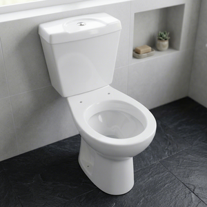Luxury Ceramic Two Piece Water Closet Toilet Bowl with Dual Flush Floor Mounted Siphonic Jet Flushing for Hotel - Product Image 1