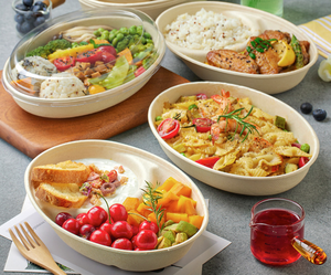 Assiettes jetables en pulpe de bagasse de canne à sucre biodégradables légères et végétariennes avec un design imprimé personnalisé de haute qualité - Product Image 3