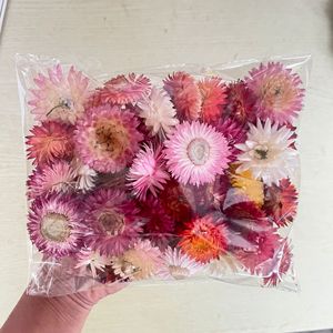 ดอกเดซี่แห้งอัดสีธรรมชาติจากโรงงาน - Product Image 4