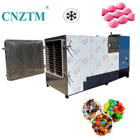 50kg 100kg Commerciële Vriesdroogmachine Snoep Fruit Voedsel Droogapparaat Lyofilisator 304 RVS CE Gecertificeerd Hoge Efficiëntie