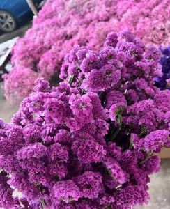 Composizione Floreale di Nontiscordimé e Limonium Essiccati, Bouquet Naturale Essiccato per la Festa della Mamma, Matrimoni e Decorazioni Interne - Product Image 1