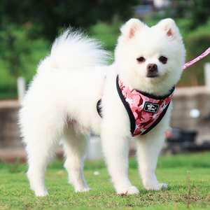 Hondenriem Set Met Camouflage Bedrukte Borstband Hondenharnas Vest 10 Huisdierkleding En Accessoires Duurzaam Op Maat Nylon Harnas - Product Image 5