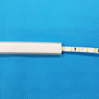 Le tube au néon flexible de silicone de 6*13mm a mené le diffuseur séparé de la bande menée