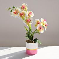 Plante artificielle Phalaenopsis à toucher réel, double branche, orchidée papillon artificielle en pot, bonsaï avec pot