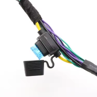Harness Radio Mobil Kustom Profesional Kabel Audio Radio 20 Pin Perakitan Harness Kabel Otomotif Pabrik Sumber Harness Kabel