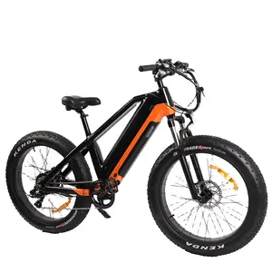 48V 500W 750W 1000W 1500W रियर brushless मोटर पहाड़ ebike 30Ah बैटरी इलेक्ट्रिक साइकिल