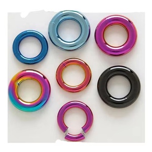 <span class=keywords><strong>Anneau</strong></span> segmenté en acier inoxydable pour piercing corporel, <span class=keywords><strong>anneau</strong></span> <span class=keywords><strong>Prince</strong></span> <span class=keywords><strong>Albert</strong></span> pour piercing génital masculin, poids d'expansion, plugs d'oreille, boucles d'oreilles piercing - Product Image 1