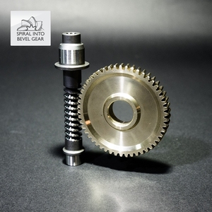 High Precision Customized OEM <b>Worm</b> Gear Sets Long and Customizable Nonstandard Plastic Steel New Manufacturing Plant Product - Product Image 2