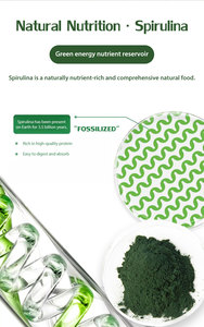 Fonte di fabbrica per uso alimentare microalghe additivo alimentare 60% naturale Base vegetale proteine in polvere di alghe verdi Spirulina organica in polvere - Product Image 3
