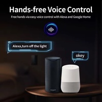 Interrupteur tactile intelligent WiFi++RF 10A, norme américaine, sans fil neutre, contrôle vocal via application pour la domotique