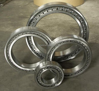 Roulement à rouleaux cylindriques à complément complet E 5026, 130*200*95mm, pour poulie de grue, prix négociable