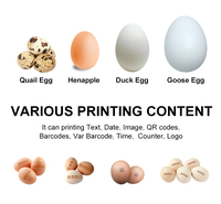 Mesin Printer Logo Telur Cepat Kering Satu Kepala, Mesin Coding Inkjet Telur, Dijual Langsung dari Pabrik