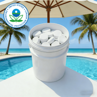 Tablettes Stabilisées pour Piscine à Libération Lente, Enregistrées EPA, Conteneur, Stock US, Multi-tailles, Vente en Gros et au Détail