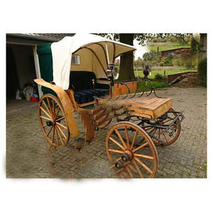 Carruaje Victoria de Caballos, Estilo Moderno para Bodas y Eventos, Construcción de Metal y Madera, Diseño Ligero - Product Image 1