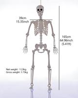 Esqueleto de Halloween de 165 cm (5 pies) Personalizable, Huesos Humanos de Plástico con Articulaciones Móviles para Casas Encantadas, Fiestas y Decoración de Jardines
