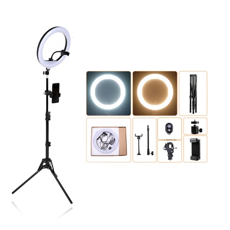 12 дюймов make up просмотр в режиме реального камера света аксессуары LED светящееся кольцо для селфи для телефона