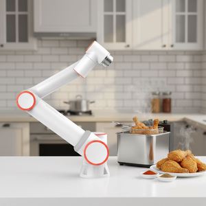 Robot Colaborativo de Seis Ejes FR10 FR16 10KG 16kg con Motor PLC, Alcance de 1034mm, Uso Industrial para Restaurantes/Cocina de Pollo Frito - Product Image 1