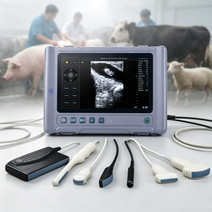 Escáner de <span class=keywords><strong>Ultrasonido</strong></span> Veterinario Portátil G-V120 a <span class=keywords><strong>Precio</strong></span> Económico para Ganado Porcino, Máquina de <span class=keywords><strong>Ultrasonido</strong></span> para Cerdos - Product Image 1