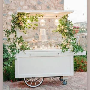 Chariot de restauration rapide en aluminium et fibre de verre personnalisé au prix d'usine, remorque mobile pour café, glaces, bonbons, chips, camion de présentation - Product Image 6