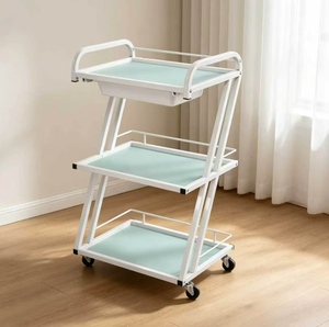 Factory Wholesale Price Beauty Salon <b>Trolleys</b> Cart Convenient Economic Metal Folding Spa Salon <b>Trolley</b> - Product Image 1
