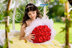 Carrozza reale cavallo elettrico Wedding car carrozza cenerentola zucca carrozza Tour visite Caleches - Product Image 5