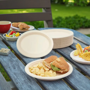 Assiette ovale biodégradable en bagasse de haute qualité, 10x8, jetable, <span class=keywords><strong>micro</strong></span>-ondable, alimentaire, pour desserts et fêtes - Product Image 2