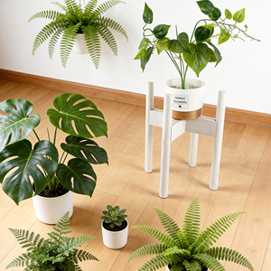 Support <span class=keywords><strong>de</strong></span> fleurs blanc WDF OEM, présentoir réglable pour plantes, <span class=keywords><strong>pot</strong></span> <span class=keywords><strong>de</strong></span> <span class=keywords><strong>fleur</strong></span> décoratif, supports <span class=keywords><strong>de</strong></span> fleurs en bois, designs <span class=keywords><strong>de</strong></span> supports <span class=keywords><strong>de</strong></span> plantes en bambou - Product Image 3