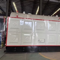 DZH6.0-1.25 Boiler Uap SGS Skala Kecil 6 Ton Berbahan Bakar Pelet Kayu
