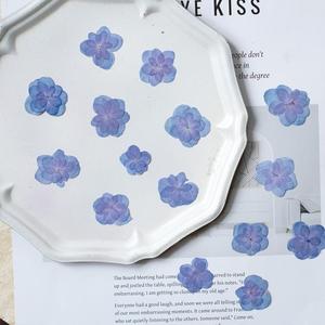 Fiori di Ortensia Naturali Essiccati a Doppio Petalo per Creazioni Fai-da-Te, Custodie per Telefoni in Resina Epossidica e Forniture per Gioielli in Resina - Product Image 4