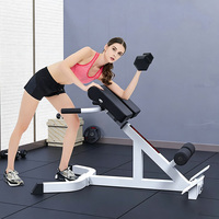 Chaise romaine réglable et pliable, banc d'hyper-extension portable robuste pour la maison, équipement de fitness pour l'entraînement des lombaires, du dos et des fessiers