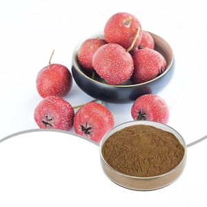 Suministro <span class=keywords><strong>100</strong></span>% polvo orgánico puro secado por pulverización <span class=keywords><strong>natural</strong></span> polvo de espino polvo de extracto de baya de espino - Product Image 4