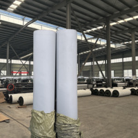 Bâche en PVC sur mesure, robuste, imperméable, résistante à l'usure, pour couvrir les camions, en rouleau