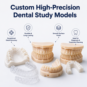 Modelos Dentales Impresos en 3D Personalizados, Modelos de Enseñanza de Ortodoncia en Resina SLA, Modelos de Anatomía Dental de Prototipado Rápido Personalizados - Product Image 2