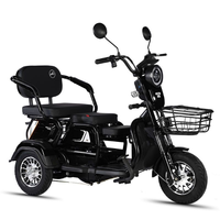 L'usine fournit directement 2025 plus récent 3 roues Tricycle électrique Cargo et passager haute puissance 48V500W pour adultes et personnes âgées