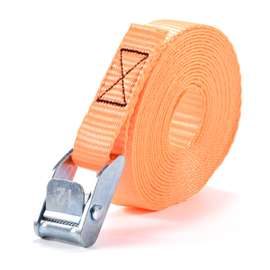 450Kg BS 25Mm 1 "Cam Khóa UV Bảo Vệ Polyester Dây Đeo Kích Thước Các Loại Vô Tận Tùy Chỉnh Khắc Cam Khóa Lashing Dây Đeo - Product Image 5