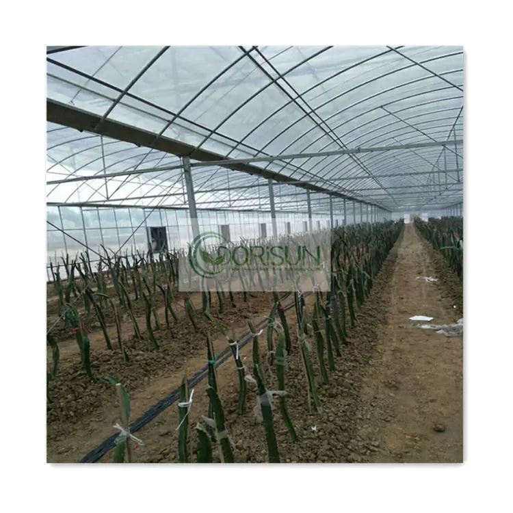 Hydroponic ท่อระบายน้ำบ้านเมล็ดวัสดุ Plastico De Invernadero ระบบการเจริญเติบโตสวนลมอุโมงค์บ้านสีเขียวฟาร์มสำหรับสัตว์ปีก