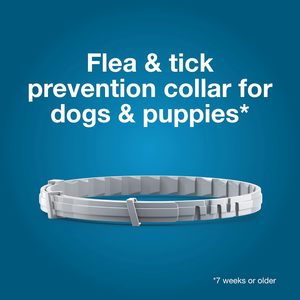 Collar Antipulgas y Garrapatas Elanco <span class=keywords><strong>Seresto</strong></span> para Perros Grandes de 18 Libras o Más, 8 Meses de Protección, Sin Olor, No Grasoso - Product Image 4