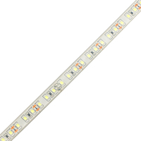 Lampu Strip LED Tahan Air IP68 12v Smd 2835 6000K Kualitas Grosir