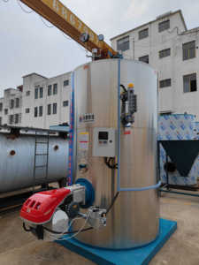 CE certificazione Diesel <span class=keywords><strong>Gas</strong></span> naturale gpl bruciatore 100/500/700/1000/2000 kg/h 7bar 10bar olio e <span class=keywords><strong>gas</strong></span> generatore di vapore in vendita - Product Image 3