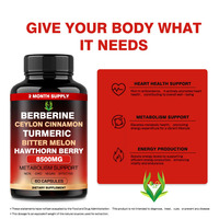 Capsules de berbérine de marque personnalisée soutien métabolique avec cannelle de Ceylan curcuma pour la santé du cœur stimulant antioxydant