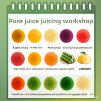 Juicer Masticating Laris Manis untuk Rumah Tangga, Kaliber Besar dengan Pemisah Ampas, Pembuat Jus Murni