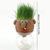 Récipients éducatifs en verre de terrarium de poupée de tête d'herbe pour des hommes femmes enfants cultivant la plantation