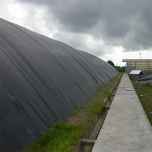 ASTM mịn 0.5mm 0.75 mm1.5 mm 2.0mm HDPE lót geomembranes cá đập ao lót - Product Image 5