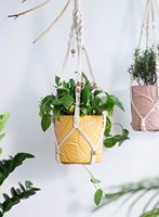 Pot tanaman Bonsai antik dalam ruangan, tanpa glasir sedang dengan lubang saluran Pot bunga semen mode kontemporer untuk bunga ukiran tangan