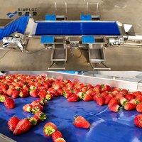 Machine de lavage entièrement automatique pour fruits et légumes, équipement de nettoyage de légumes à pulvérisation haute pression