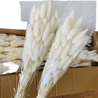 Grosir 50-60 Buket Rumput Pampas Kering Alami dari Cina untuk Dekorasi Rumah Hari Valentine