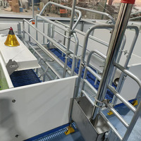 Cage de mise bas pour truies, galvanisée à chaud, de type européen, 2,4 x 3,6 m