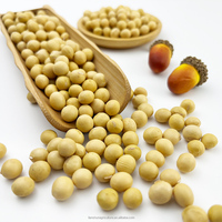 2024 culture chinois à haute teneur en protéines soja jaune soja/soja pour l'alimentation animale