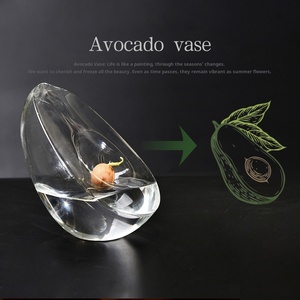 <span class=keywords><strong>Vase</strong></span> hydroponique moderne en verre en forme d'<span class=keywords><strong>avocat</strong></span> conteneur de plantation et de culture de graines <span class=keywords><strong>Vase</strong></span> spécial Pot jardinage - Product Image 2
